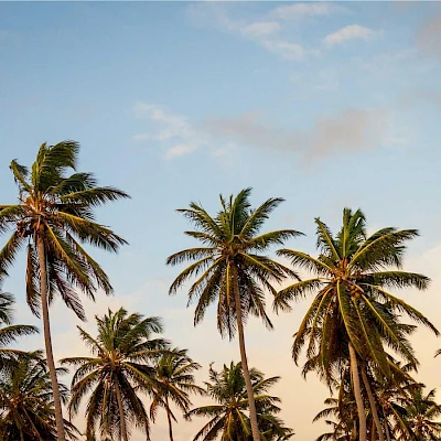 Foto di Coppia Guanciali Memory Foam