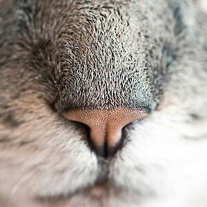 Foto di Coperta in Pile 220x240