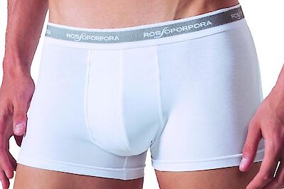 Foto di BOXER UOMO SINGOLO BIANCO TAG.L5 90% COTONE 10% ELASTAN
