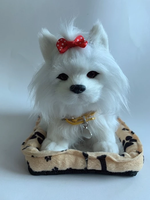 GIOCO CANE MALTESE