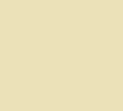 Foto di TESSUTO T.U. POLICOTONE H.142CM 140GSM BEIGE CHARO